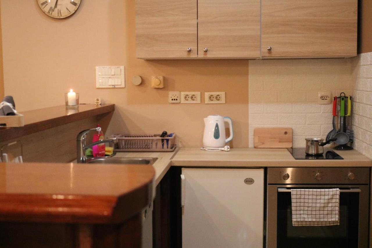 Guest House Studio Apartman Marina - With Jacuzzi, Free Parking, Pet Friendly カルロヴァッツ エクステリア 写真