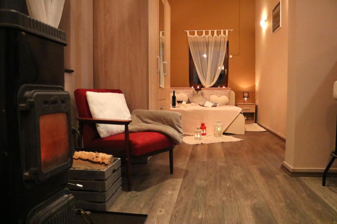 Guest House Studio Apartman Marina - With Jacuzzi, Free Parking, Pet Friendly カルロヴァッツ エクステリア 写真
