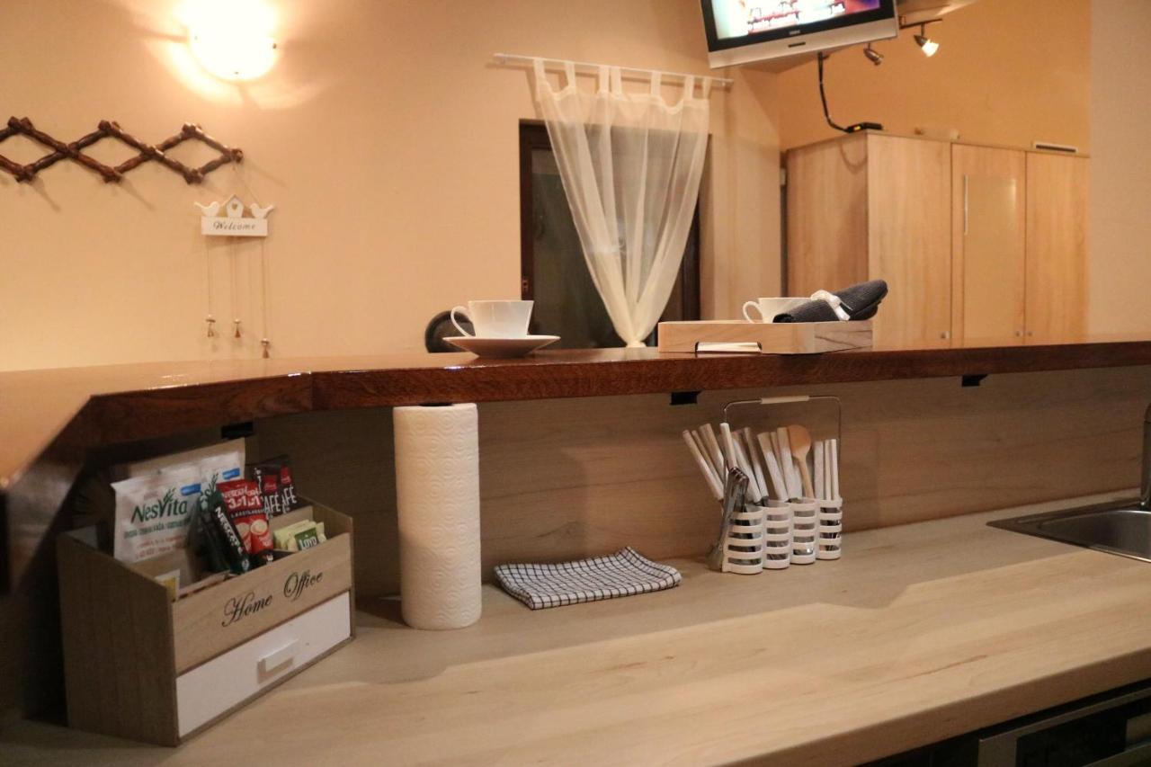 Guest House Studio Apartman Marina - With Jacuzzi, Free Parking, Pet Friendly カルロヴァッツ エクステリア 写真